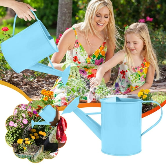 ZROBM Watering Can, 600ML Watering Can Indoor Plants, Watering Cans under $10, Watering Can Small, iron