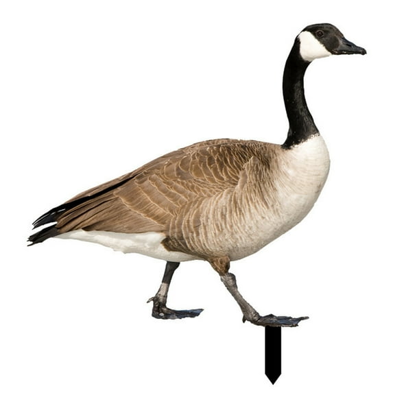 ZTGD Duck Decor Realistic Life-like Ornamental Double-sided Printing Rustic Acrylic Garden Poultry Statue for Yard