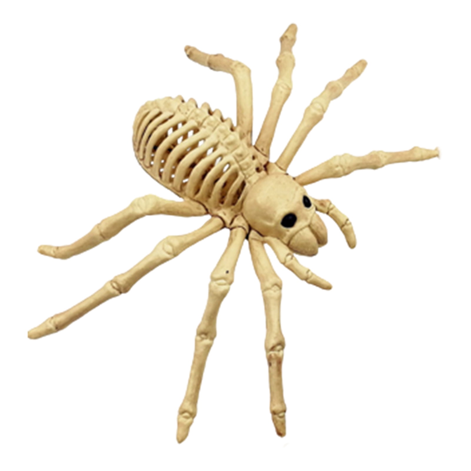 ZTGD Halloween Decoration Animal Skeleton Bones Creepy Spider Bonez ...