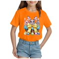 thumbnail image 1 of ZTKWD Girls Pleated T Shirts Kids Summer Short Sleeve Fashion Tops Tees 2-14 years Easter, 1 of 4