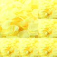 thumbnail image 1 of ZTTD 1000 PCS Artificial Silk Rose Petals for Romantic Night, Wedding, Proposal Anniversary Flower Decorations (Yellow), 1 of 6