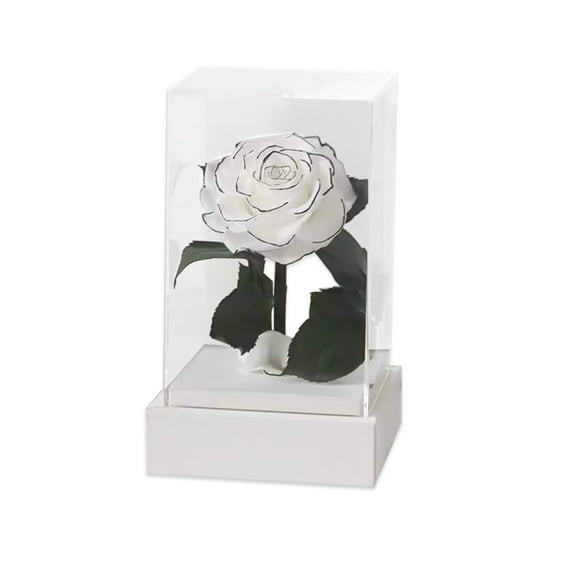 ZToonmas Christmas Decor Real Rose Acrylic Eternal Flower Forever Beautiful Mother Woman Girlfriend Valentine'S Day