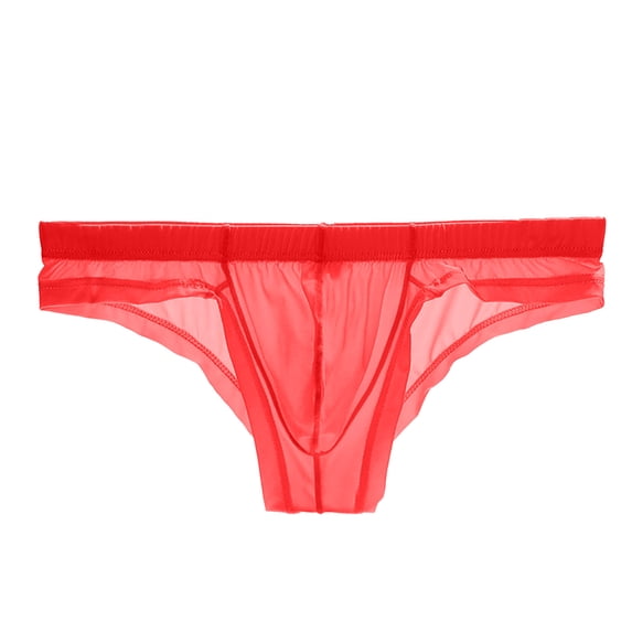 ZToonmas Men's Sheer Mesh Briefs Mid Rise Breathable Comfort Soft Underwear for Intimate Wear