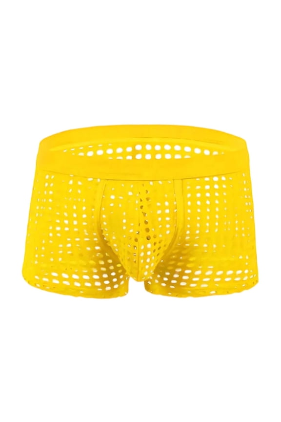 Men's Sheer Mesh Elastic Waist Briefs Solid Color Moisture Wicking Intimate Underwear