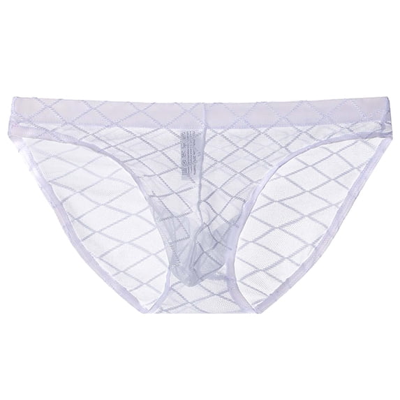 ZToonmas Men's Sheer Mesh Lace Briefs Solid Color Ultra Thin Transparent Breathable Comfort Underwear