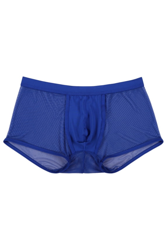Men's Sheer Mesh Low Rise Boxer Briefs Solid Color Breathable Intimate Underwear for Summer Wear