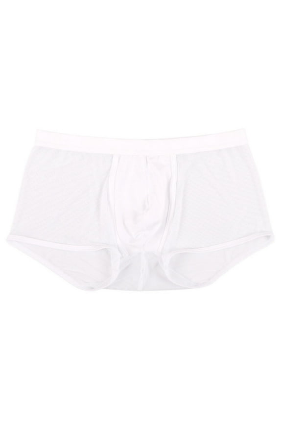 Men's Sheer Mesh Low Rise Boxer Briefs Solid Color Breathable Intimate Underwear for Summer Wear