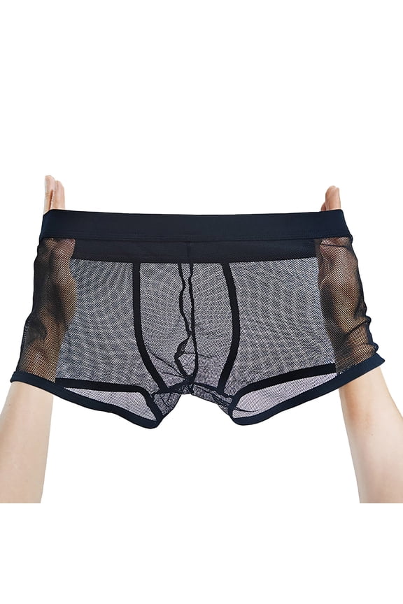 Men's Ultra Thin Sheer Mesh Boxer Briefs Transparent Solid Color Breathable Comfort Underwear