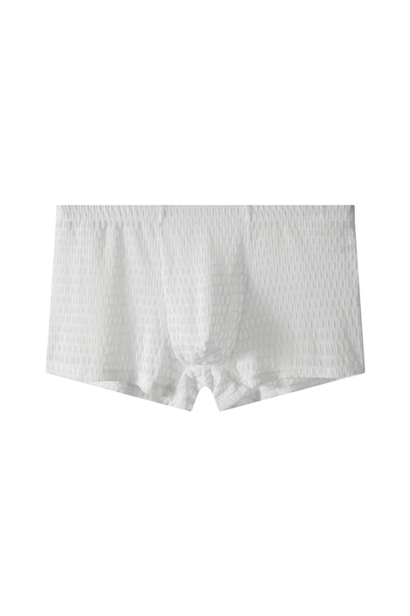 Men's Ultra Thin Sheer Mesh Boxer Briefs Transparent Solid Color Breathable Comfort Underwear
