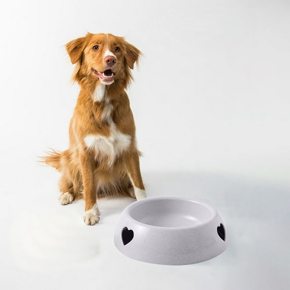 ZToonmas Pet Bowl Puppy Bowl Cats Bowl Food Bowl Avoid-Knockover Pet Bowl Dog Cats Drinking Water Bowl