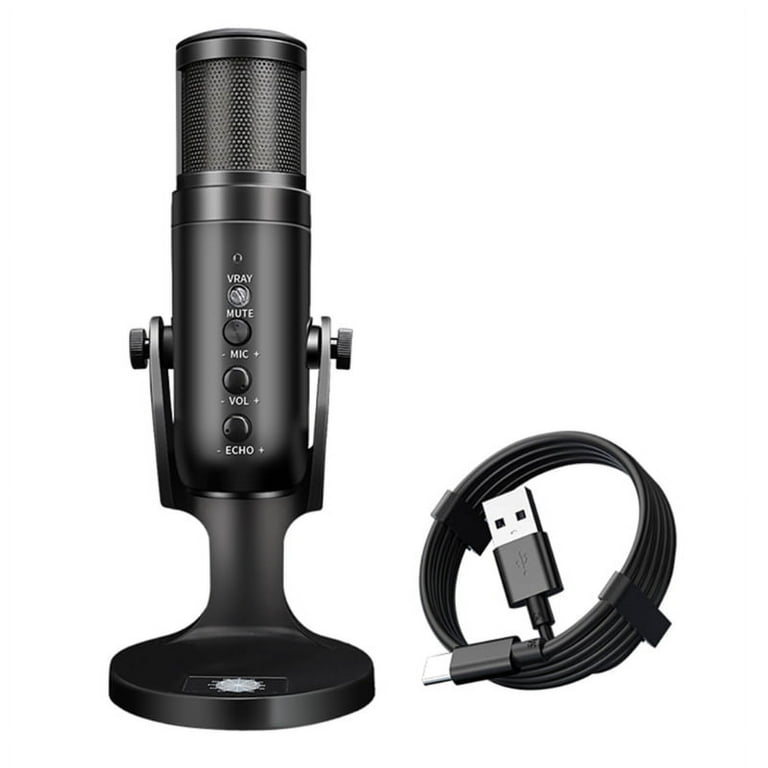 Ps4 echo mic sale