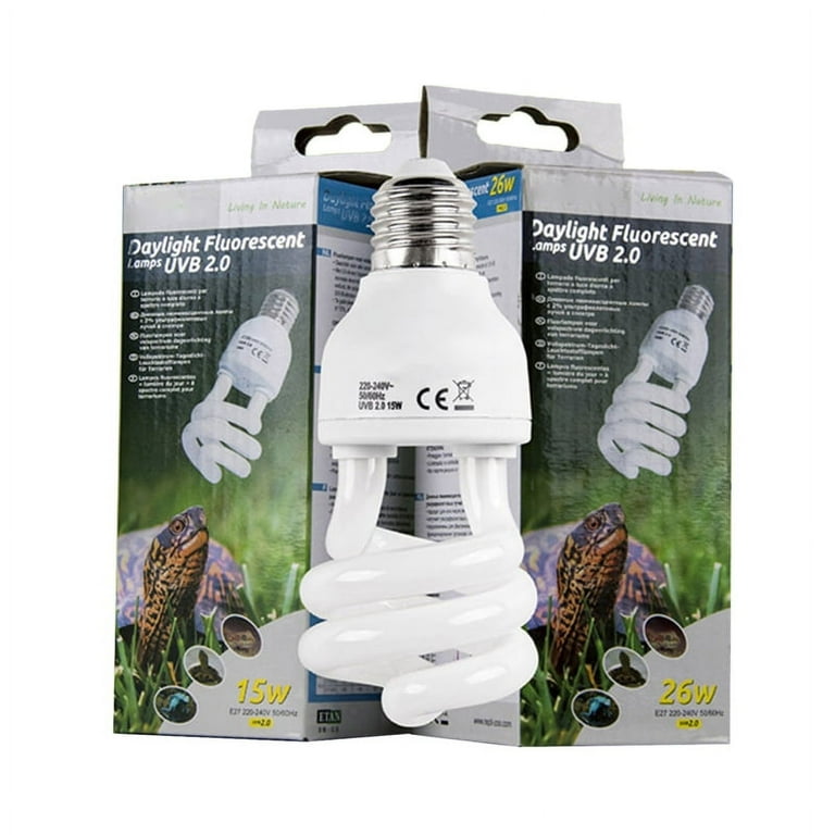 Tortoise lamp cheap bulb