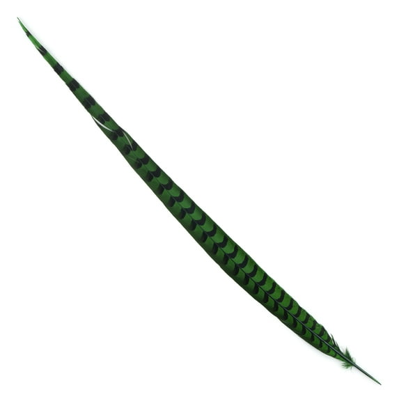 ZUCKER® 1 pc 30-40" (76-101 cm) Kelly Green Dyed Pheasant Tail Feather Wedding Decor