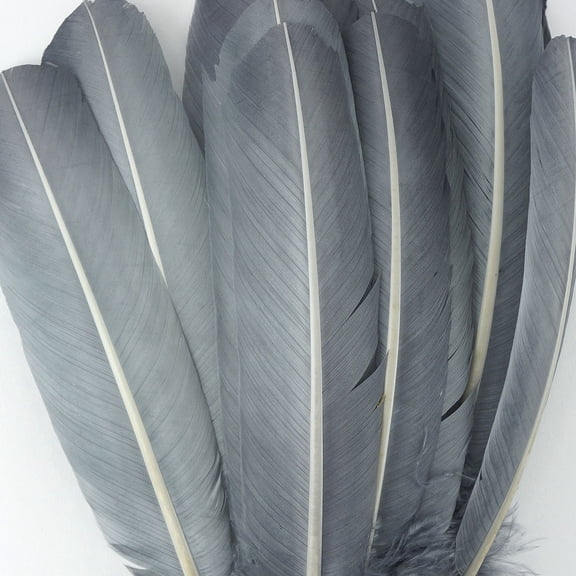 ZUCKERĀ® 10-12 inch Turkey Feathers for Crafts - 4pc Quills for DIY Headpiece, Dream Catcher, Home Decor - Silver / Gray