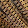 thumbnail image 1 of ZUCKER® 10 PC/PKG RINGNECK PHEASANT TAILS 18-20" - NATURAL, 1 of 4