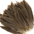 thumbnail image 1 of ZUCKER® 10 PC/PKG RINGNECK PHEASANT TAILS 4-6" - NATURAL, 1 of 5