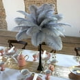 thumbnail image 1 of ZUCKER® 24pcs 13-16" Ostrich Feather Centerpiece Set - 24" Eiffel Tower Vase Wedding Decorations Black and Silver (Gray), 1 of 3