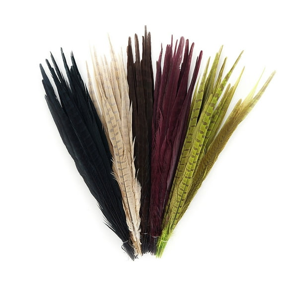 ZUCKER Assorted-Bleached and Mix Dyed Ringneck and Golden Pheasant Tail Feathers - 14 -18" - 100pcs - Harvest