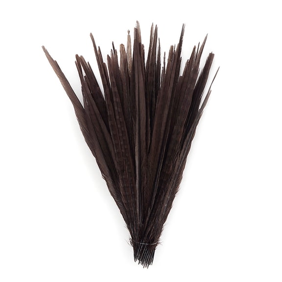 ZUCKER Assorted Dyed Pheasant Tail Feathers - 14 - 18" - 100pcs - Brown