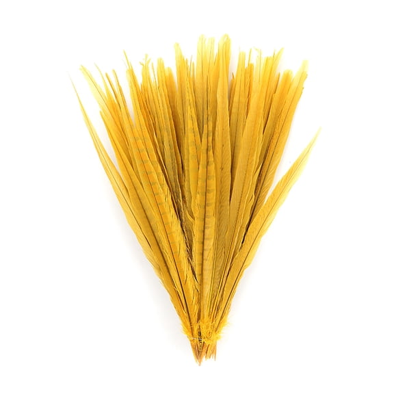 ZUCKER Assorted Dyed Pheasant Tail Feathers - 14 - 18" - 100pcs - Gold