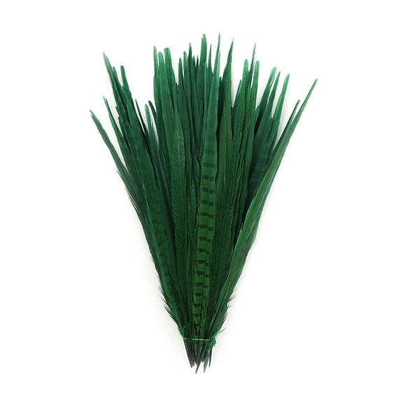 ZUCKER Assorted Dyed Pheasant Tail Feathers - 14 - 18" - 100pcs - Kelly