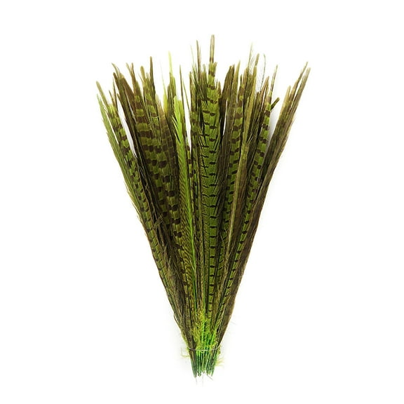 ZUCKER Assorted Dyed Pheasant Tail Feathers - 14 - 18" - 100pcs - Lime