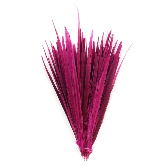 ZUCKER™ Assorted Dyed Pheasant Tail Feathers - 14 - 18" - 100pcs - Shocking Pink