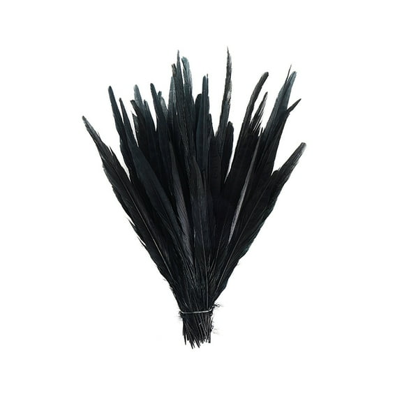 ZUCKER Assorted Dyed Pheasant Tail Feathers - 8 -14" - 100pcs - Black