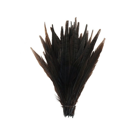ZUCKER™ Assorted Dyed Pheasant Tail Feathers - 8 -14" - 100pcs - Brown