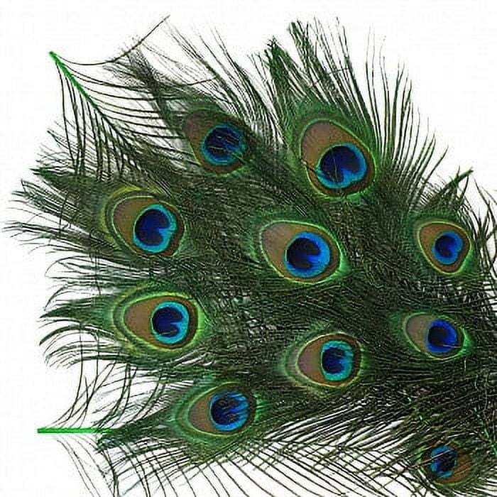 50 PCS/Natural White Peacock Feathers in The Eye, 10 to 12 Inches of The Peacock Feather Wedding Decoration