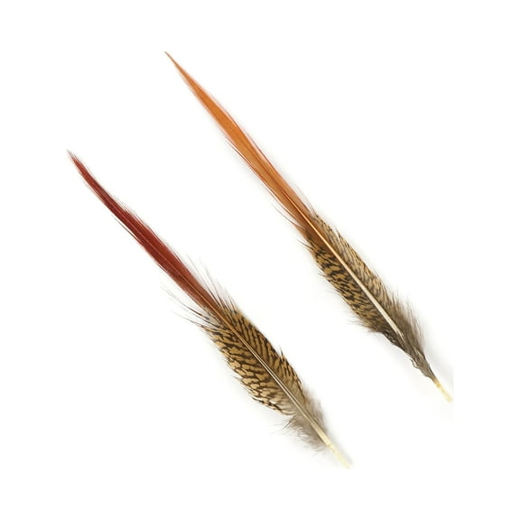 ZUCKER Golden Pheasant Red Top Tail Feathers