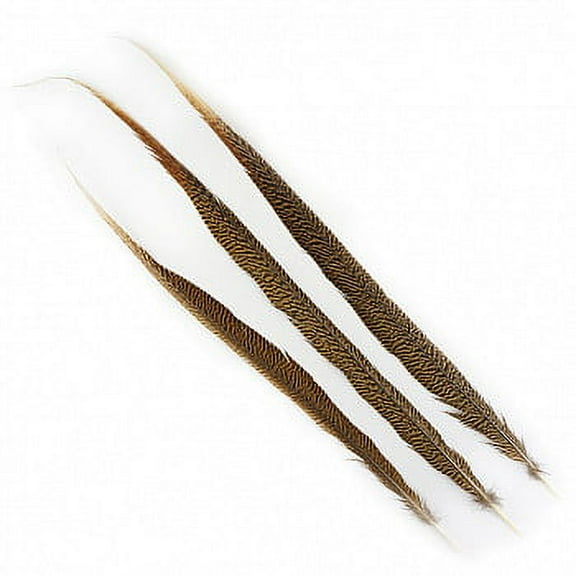 ZUCKER Golden Pheasant Tail Feathers - Natural