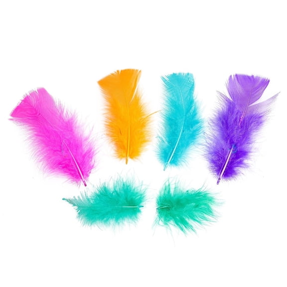 Zucker Feather (TM) - Loose Turkey Plumage Mix Dyed - Carnival Mix