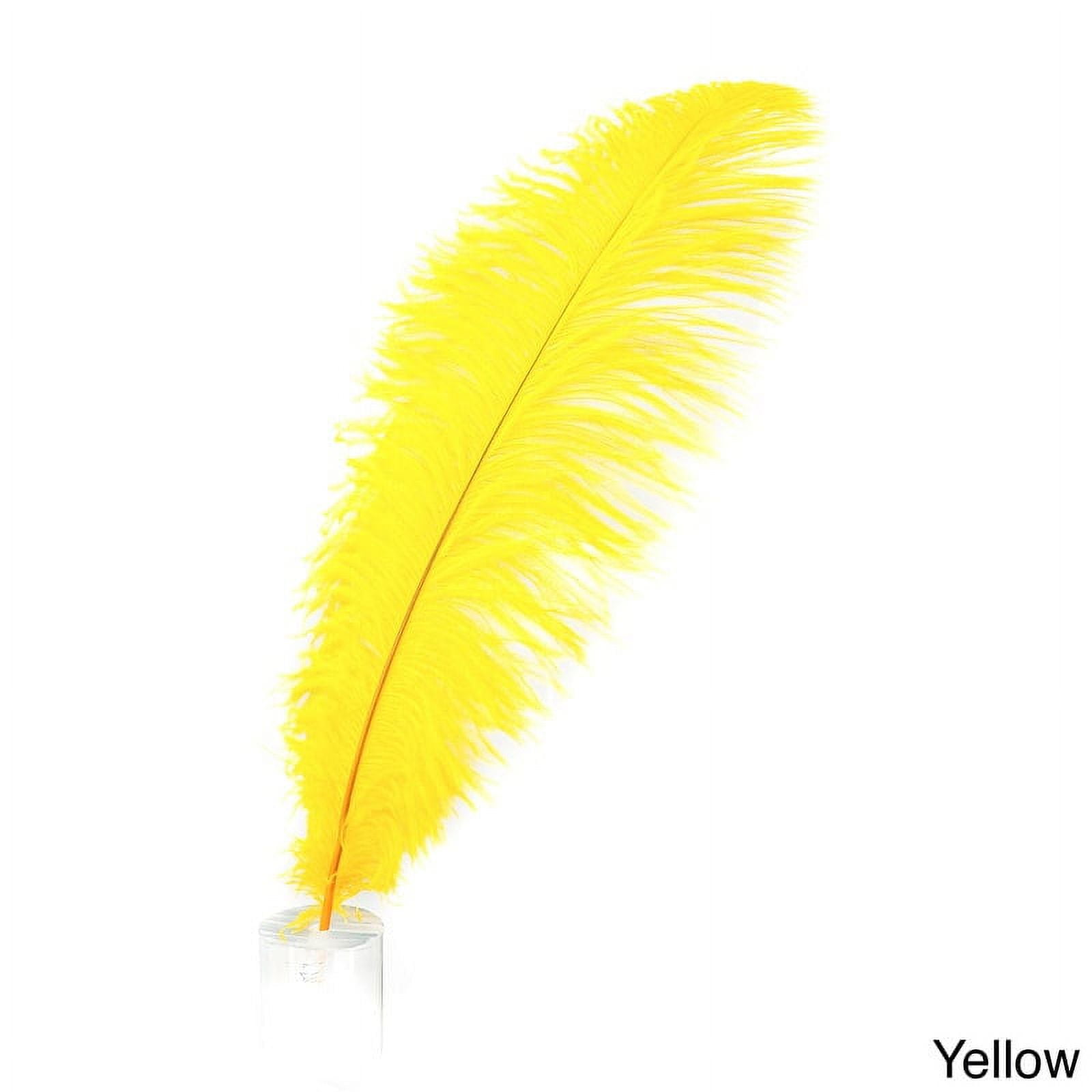 Pastel Yellow Craft Feathers Turkey Plumage per Ounce - LAMPLIGHT FEATHER,  Inc.