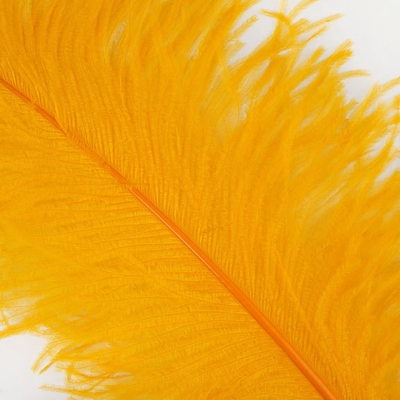 ZUCKER Ostrich Prime Femina Feathers - 6pc - 17 - 25" - Mango