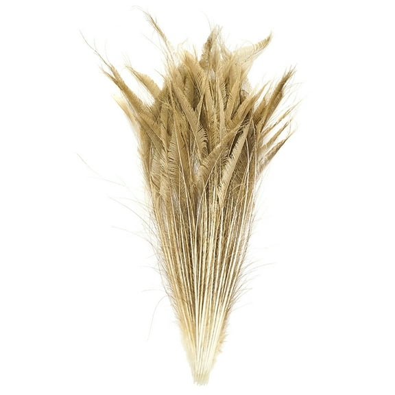 ZUCKER Peacock Swords Bleach Dyed Tail Feathers - 15 -25" - 100pcs - Golden Iridiscent
