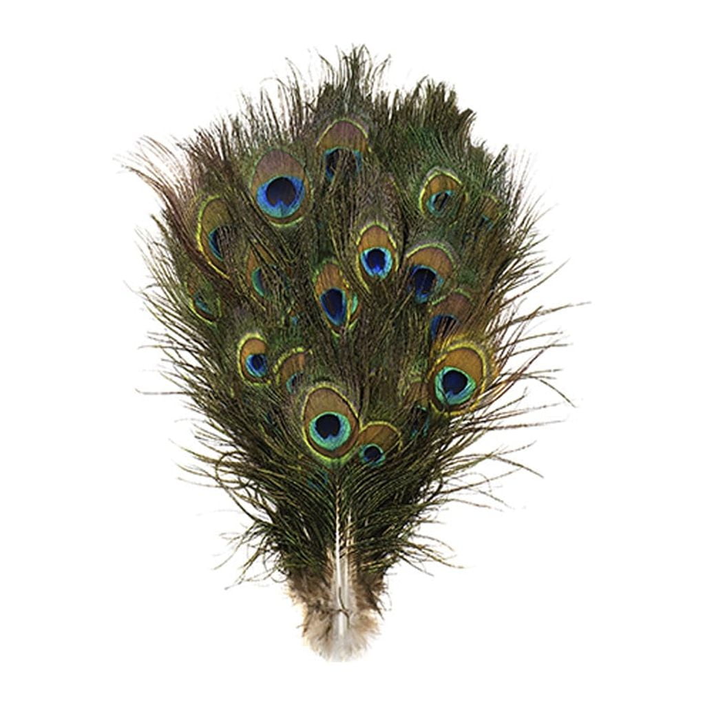 Accents, Five Peacock Ex Large Feathers