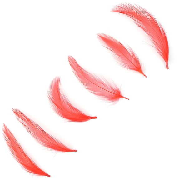 ZUCKER Rooster Dyed Blood Quill (neck) Hackle Feathers 1-3 inches -1LB - Hot Orange