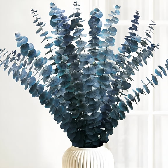 ZULAR 10Pcs Preserved Dried Eucalyptus Stems,Natural Fresh Blue Eucalyptus Branches for Shower,Real Plant for Vase Filler,Branches for Vase Dried Flowers Arrangement,Floral Home Decor