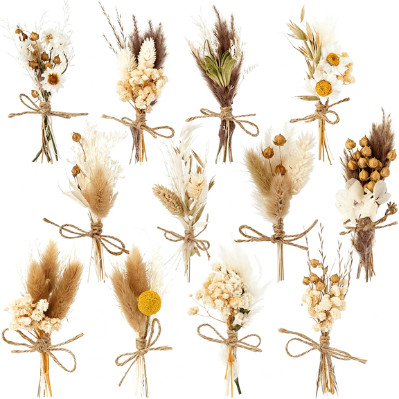 ZULAR 12 Pack Dried Flower Bouquet Mini Natural Pampas Grass for Crafts, Boho Artificial Arrangement for Vases, Wedding