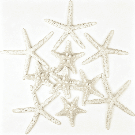 ZULAR 12 Pcs Starfish 2-6 Inch Mixed Starfish Natural Seashells Star Fish Shells Decorations for Wedding Decor Beach Theme Party,Home Decorations,Diy Crafts,Fish Tank