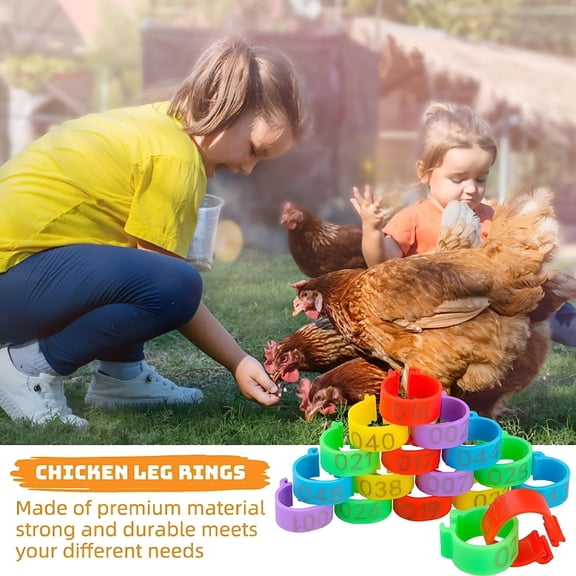 ZULAR 2026 New Chicken Identification Band - Clip-On Band Tags Numbered Leg Rings for Poultry, Chicken Identification Legs Bands for Chickens, Ducks