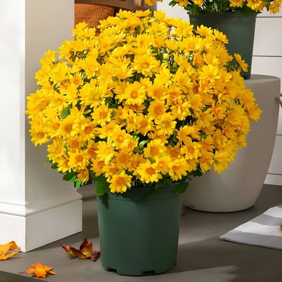 ZULAR 2026 New Faux Mums for Outdoor Planters,Fake Mums Fall Decor,5 Bundles Artificial Flowers for Outdoors/Indoors,Fake Flowers Plants for Outside Porch Window Box Home Wedding Farmhouse(No Vase)