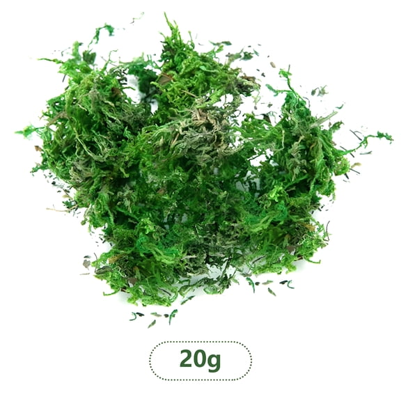 ZULAR 2026 New Preserved Natural Moss Sheet and Artificial Moss Clumps,Green Moss Pad for Potted Plants,Fairy Garden Crafts,Terrarium Decor,Floral Arrangements and Landscape Design