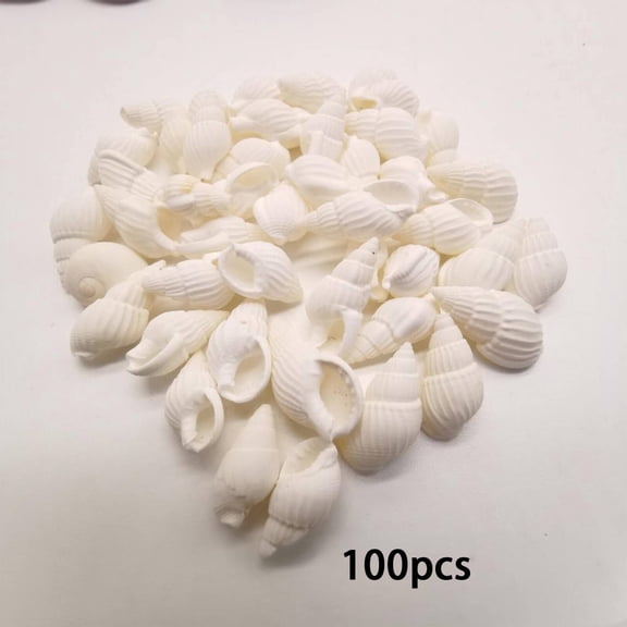 ZULAR 2026 New Sea Shells Natural Seashells for Craft Projects Sea Shell Ideal for Aquarium and Diy Decoration Beach Craft for Home Decor,Art Projects,School Projects,Party Style4