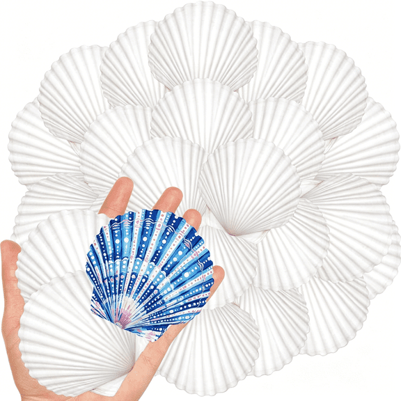 ZULAR 20Pcs 2-3 Inch Scallop Shells for Crafts, Natural White Scallop Shells for Painting, DIY Crafts, Decoupage, Beach Wedding Decor, Seashells Bulk for Home