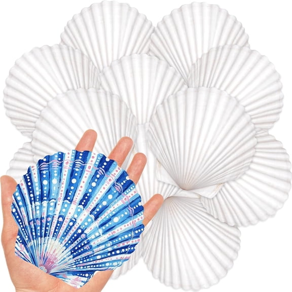 ZULAR 20Pcs 4-5 Inch Large Scallop Shells for Crafts, Natural White Scallop Shells for Baking, Painting, DIY Crafts, Decoupage, Beach Wedding Decor, Large Seashells Bulk for Home