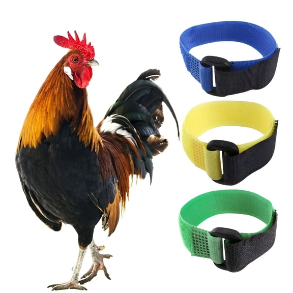 ZULAR 2Pcs No Crow Rooster Collar, Chicken Collar Anti-Hook Noise Free Neckband No Crow Noise Neck Belt for Roosters, Prevent Chickens from Screaming, Disturbing Neighbors