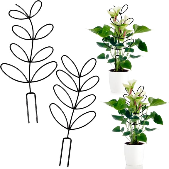 ZULAR 2Pcs Plant Trellis for Climbing Plants Indoor,Indoor Plant Trellis Climbing Houseplant Trellis Indoor Garden Trellis Metal Wire Stake for Potted Plant