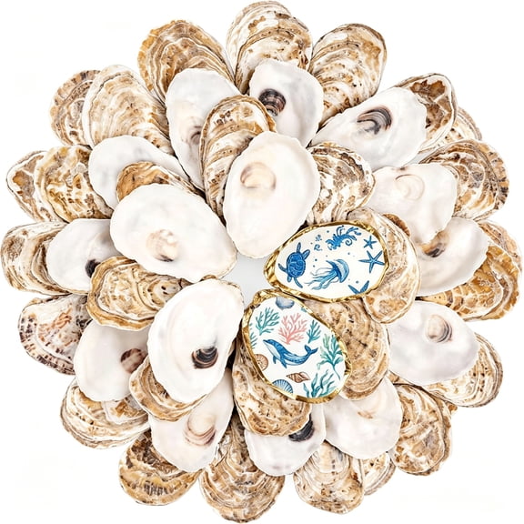 ZULAR 30Pcs Small Flat Oyster Shells for Crafts, 2-3 Inch Cleaned Natural Oyster Shells for Decoupage Painting Vase Filler Wedding DIY Decor Coastal Christmas Seashells Art